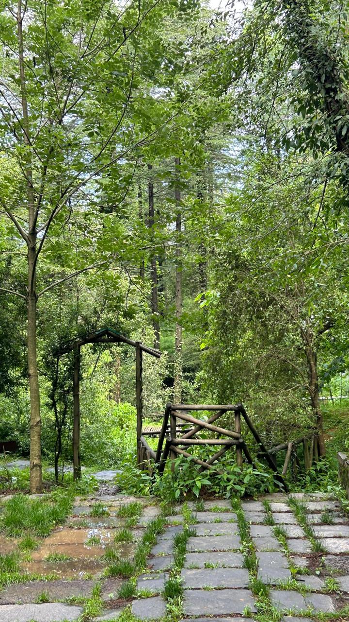 Garden Path